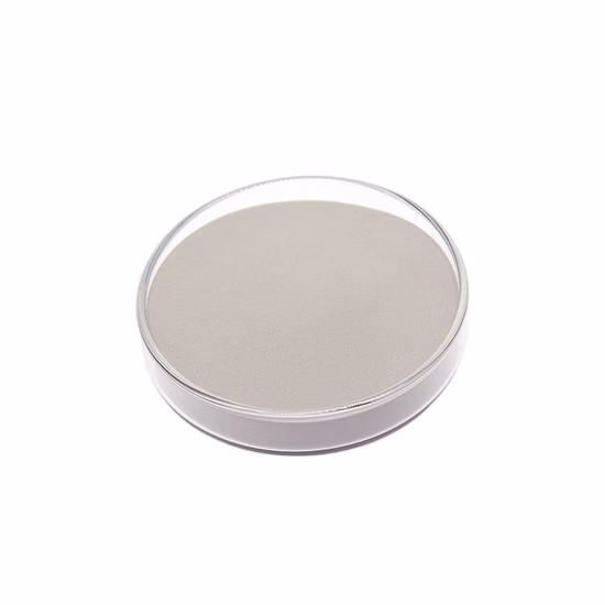 Dental Cobalt-Chromium Porcelain Alloy