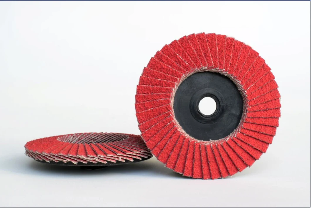 Mini Flap Disc Type R Grinding and Finishing